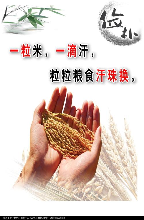 海勒姆学院 Architecture Degree Certificate